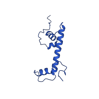 17741_8pkj_C_v1-1
Cryo-EM structure of the nucleosome containing Nr5a2 motif at SHL+5.5