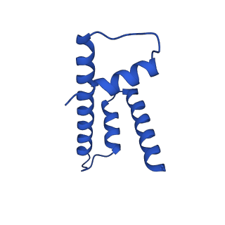 17741_8pkj_D_v1-1
Cryo-EM structure of the nucleosome containing Nr5a2 motif at SHL+5.5