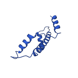 17741_8pkj_E_v1-1
Cryo-EM structure of the nucleosome containing Nr5a2 motif at SHL+5.5