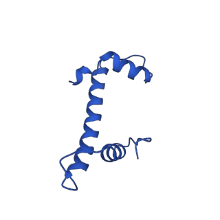 17741_8pkj_F_v1-1
Cryo-EM structure of the nucleosome containing Nr5a2 motif at SHL+5.5