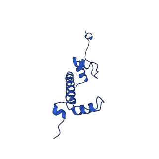 17741_8pkj_G_v1-1
Cryo-EM structure of the nucleosome containing Nr5a2 motif at SHL+5.5