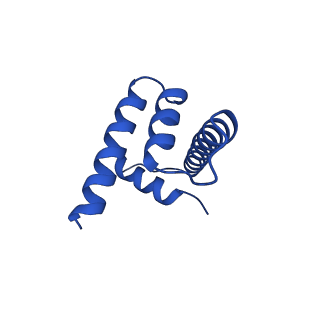 17741_8pkj_H_v1-1
Cryo-EM structure of the nucleosome containing Nr5a2 motif at SHL+5.5