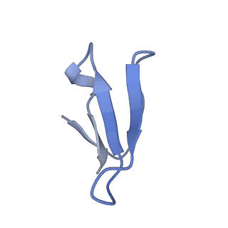 17743_8pkl_0_v1-0
Escherichia coli paused disome complex (leading 70S non-rotated closed PRE state)