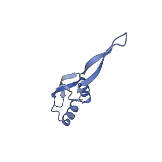 17743_8pkl_1_v1-0
Escherichia coli paused disome complex (leading 70S non-rotated closed PRE state)