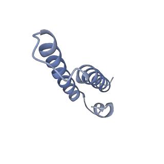 17743_8pkl_2_v1-0
Escherichia coli paused disome complex (leading 70S non-rotated closed PRE state)