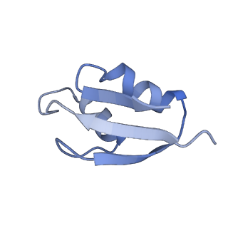 17743_8pkl_3_v1-0
Escherichia coli paused disome complex (leading 70S non-rotated closed PRE state)