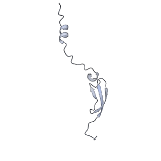 17743_8pkl_4_v1-0
Escherichia coli paused disome complex (leading 70S non-rotated closed PRE state)