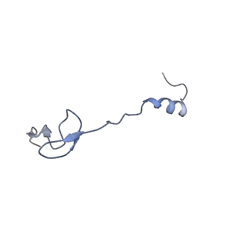 17743_8pkl_5_v1-0
Escherichia coli paused disome complex (leading 70S non-rotated closed PRE state)