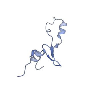 17743_8pkl_6_v1-0
Escherichia coli paused disome complex (leading 70S non-rotated closed PRE state)