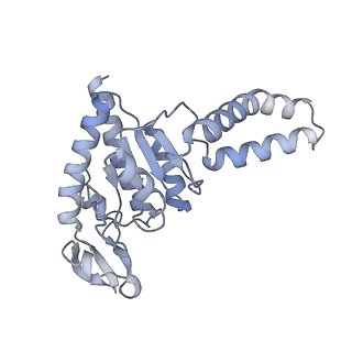 17743_8pkl_B_v1-0
Escherichia coli paused disome complex (leading 70S non-rotated closed PRE state)
