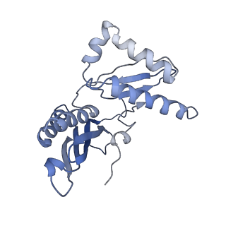 17743_8pkl_C_v1-0
Escherichia coli paused disome complex (leading 70S non-rotated closed PRE state)