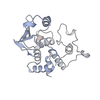 17743_8pkl_D_v1-0
Escherichia coli paused disome complex (leading 70S non-rotated closed PRE state)