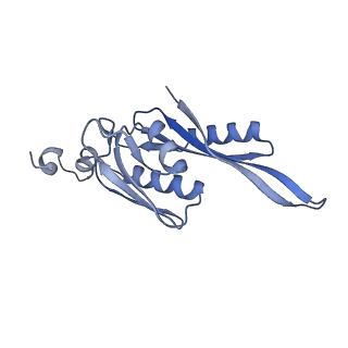 17743_8pkl_E_v1-0
Escherichia coli paused disome complex (leading 70S non-rotated closed PRE state)