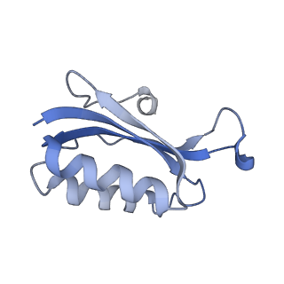 17743_8pkl_F_v1-0
Escherichia coli paused disome complex (leading 70S non-rotated closed PRE state)