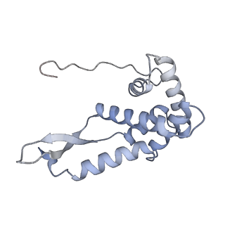 17743_8pkl_G_v1-0
Escherichia coli paused disome complex (leading 70S non-rotated closed PRE state)