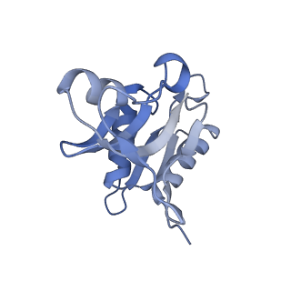 17743_8pkl_H_v1-0
Escherichia coli paused disome complex (leading 70S non-rotated closed PRE state)