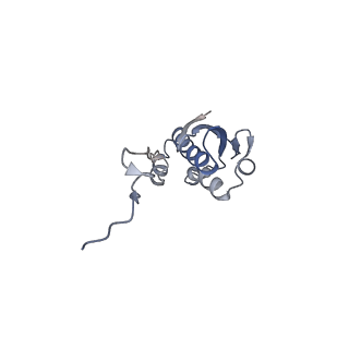 17743_8pkl_I_v1-0
Escherichia coli paused disome complex (leading 70S non-rotated closed PRE state)