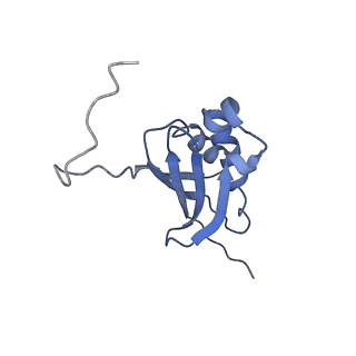 17743_8pkl_K_v1-0
Escherichia coli paused disome complex (leading 70S non-rotated closed PRE state)