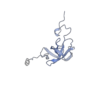 17743_8pkl_L_v1-0
Escherichia coli paused disome complex (leading 70S non-rotated closed PRE state)