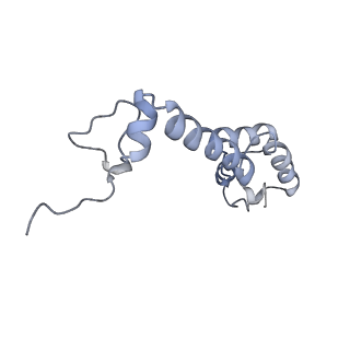 17743_8pkl_M_v1-0
Escherichia coli paused disome complex (leading 70S non-rotated closed PRE state)