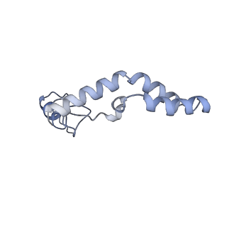 17743_8pkl_N_v1-0
Escherichia coli paused disome complex (leading 70S non-rotated closed PRE state)