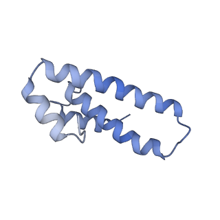 17743_8pkl_O_v1-0
Escherichia coli paused disome complex (leading 70S non-rotated closed PRE state)