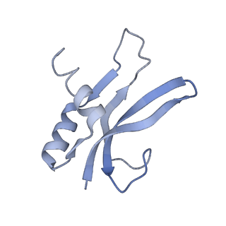 17743_8pkl_P_v1-0
Escherichia coli paused disome complex (leading 70S non-rotated closed PRE state)