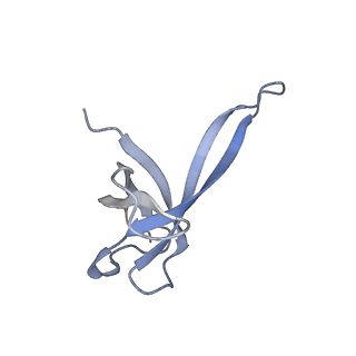 17743_8pkl_Q_v1-0
Escherichia coli paused disome complex (leading 70S non-rotated closed PRE state)