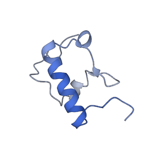 17743_8pkl_R_v1-0
Escherichia coli paused disome complex (leading 70S non-rotated closed PRE state)