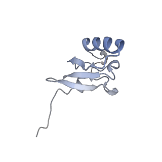 17743_8pkl_S_v1-0
Escherichia coli paused disome complex (leading 70S non-rotated closed PRE state)