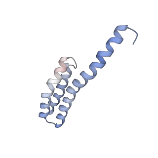 17743_8pkl_T_v1-0
Escherichia coli paused disome complex (leading 70S non-rotated closed PRE state)