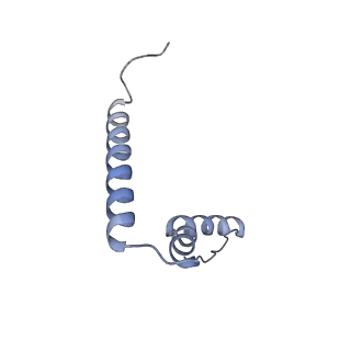 17743_8pkl_U_v1-0
Escherichia coli paused disome complex (leading 70S non-rotated closed PRE state)