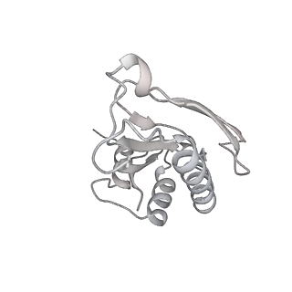 17743_8pkl_a_v1-0
Escherichia coli paused disome complex (leading 70S non-rotated closed PRE state)