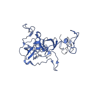 17743_8pkl_b_v1-0
Escherichia coli paused disome complex (leading 70S non-rotated closed PRE state)