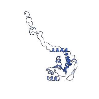 17743_8pkl_d_v1-0
Escherichia coli paused disome complex (leading 70S non-rotated closed PRE state)