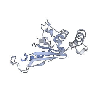 17743_8pkl_e_v1-0
Escherichia coli paused disome complex (leading 70S non-rotated closed PRE state)