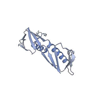 17743_8pkl_f_v1-0
Escherichia coli paused disome complex (leading 70S non-rotated closed PRE state)