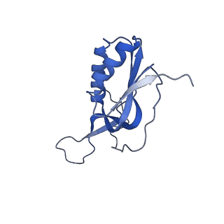 17743_8pkl_h_v1-0
Escherichia coli paused disome complex (leading 70S non-rotated closed PRE state)