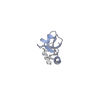17743_8pkl_i_v1-0
Escherichia coli paused disome complex (leading 70S non-rotated closed PRE state)