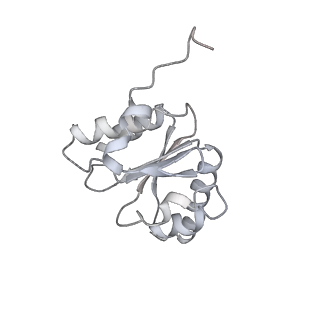 17743_8pkl_j_v1-0
Escherichia coli paused disome complex (leading 70S non-rotated closed PRE state)
