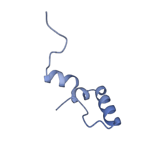 17743_8pkl_l_v1-0
Escherichia coli paused disome complex (leading 70S non-rotated closed PRE state)