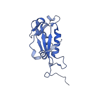 17743_8pkl_m_v1-0
Escherichia coli paused disome complex (leading 70S non-rotated closed PRE state)