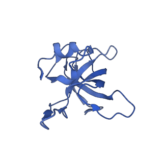 17743_8pkl_n_v1-0
Escherichia coli paused disome complex (leading 70S non-rotated closed PRE state)