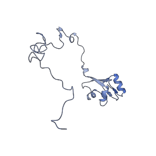 17743_8pkl_o_v1-0
Escherichia coli paused disome complex (leading 70S non-rotated closed PRE state)