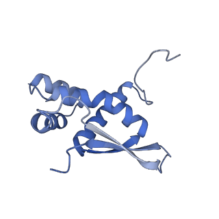 17743_8pkl_q_v1-0
Escherichia coli paused disome complex (leading 70S non-rotated closed PRE state)