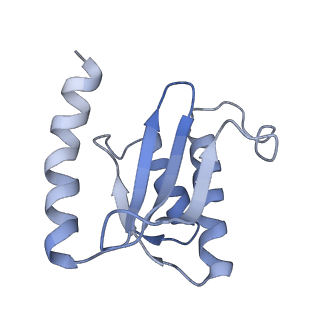 17743_8pkl_r_v1-0
Escherichia coli paused disome complex (leading 70S non-rotated closed PRE state)