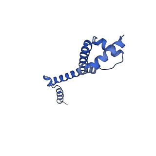 17743_8pkl_t_v1-0
Escherichia coli paused disome complex (leading 70S non-rotated closed PRE state)