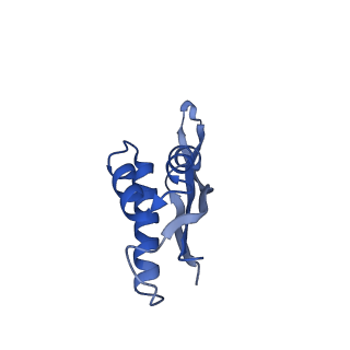 17743_8pkl_v_v1-0
Escherichia coli paused disome complex (leading 70S non-rotated closed PRE state)