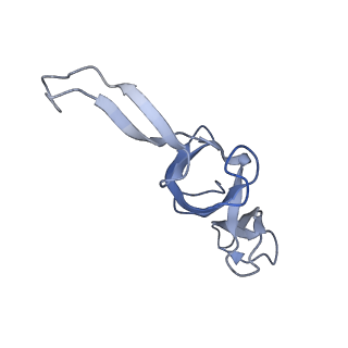 17743_8pkl_x_v1-0
Escherichia coli paused disome complex (leading 70S non-rotated closed PRE state)