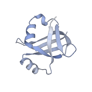 17743_8pkl_y_v1-0
Escherichia coli paused disome complex (leading 70S non-rotated closed PRE state)